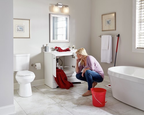 What To Do When You Find Mold Under The Sink Home Matters Ahs