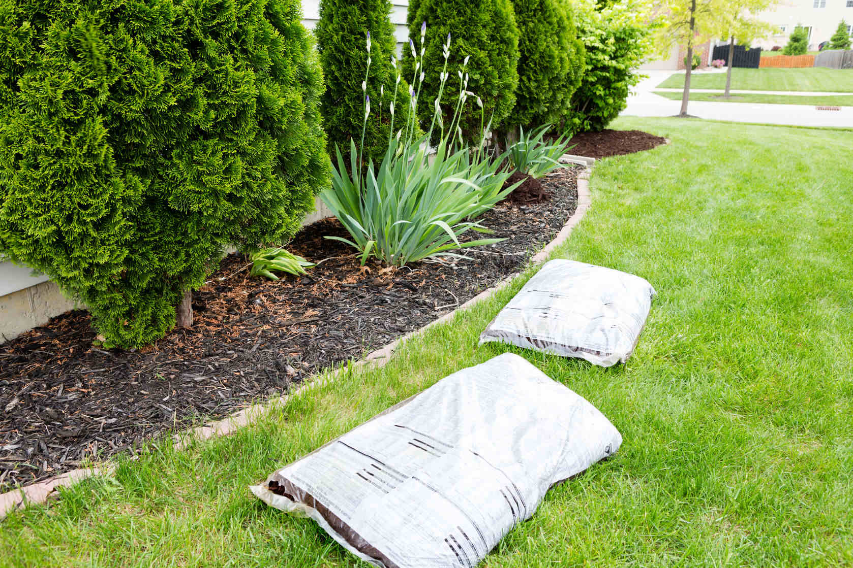 energy efficient landscaping