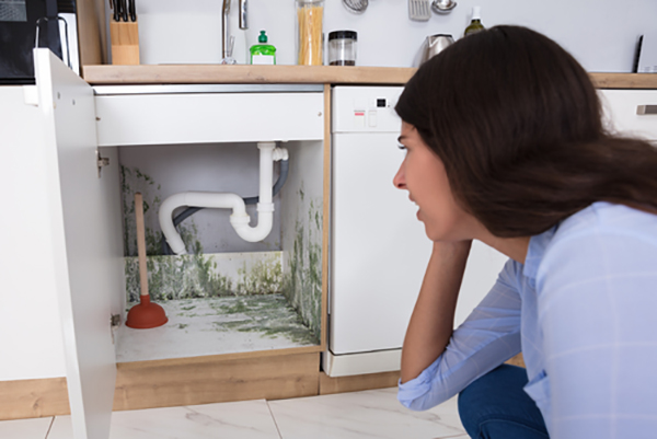 moisture under kitchen sink on the floor