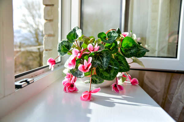 pop of color with flowers