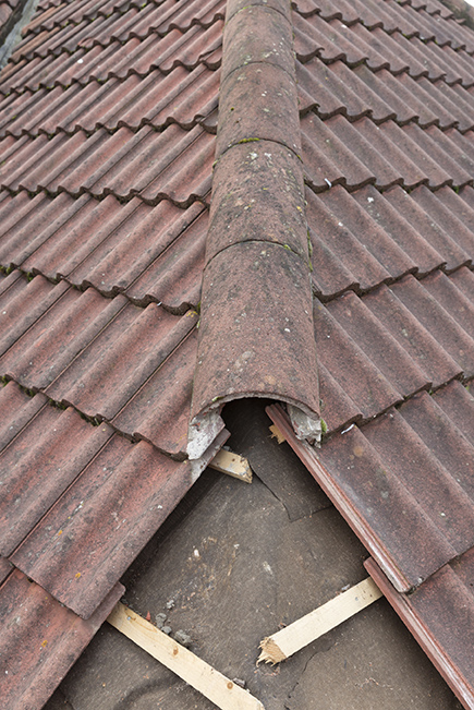 Roof with red tile